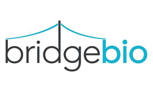 Bridge Bio